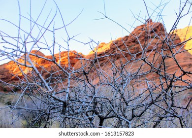 Red Cliffs National Conservation Sight Near St. George, UT.