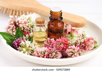 Red Clover Extract And Aroma Essenial Oil For Natural Cosmetic Haircare Treatment. 