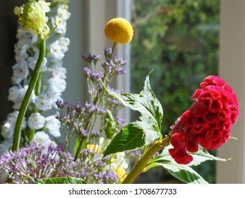 Red cockscomb flower in front of a window with refelctions, various other flowers in the background, Focus on Red cockscomb flower.