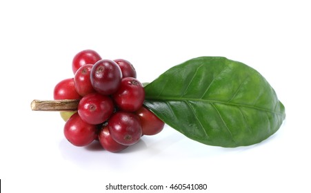 Red Coffee Beans Isolated On White Background