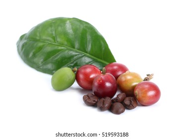 Red Coffee Beans Isolated On White Background