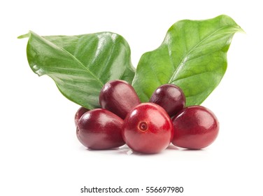 94,287 Raw coffee bean Images, Stock Photos & Vectors | Shutterstock