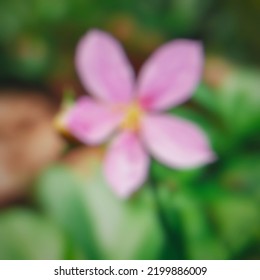 Red Color Flower Png Green Leaf Blur 