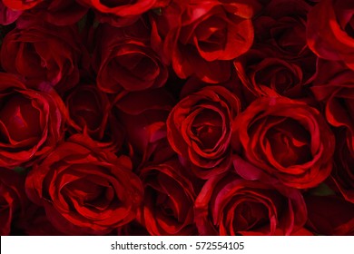 Red Color Roses Background