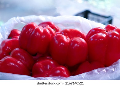 red colored capsicum stock on shop for sell