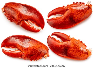 Red Cooked Claw Lobster isolated on white, Steam Canadian lobster isolated on white background With clipping path.