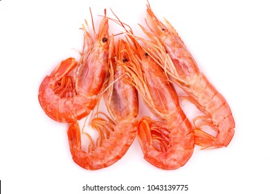 Red Cooked Prawn Or Shrimp Isolated On White Background. Top View