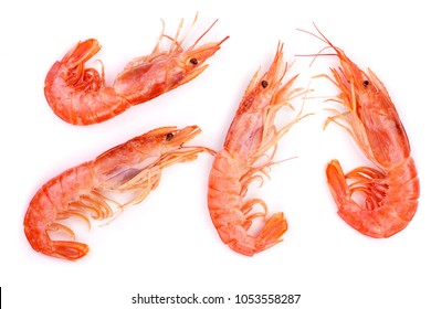 Red Cooked Prawn Or Shrimp Isolated On White Background. Top View.