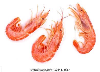 Red Cooked Prawn Or Shrimp Isolated On White Background. Top View