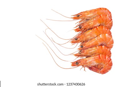 Red Cooked Prawn Or Shrimp Isolated On White Background. Top View