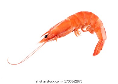 Red Cooked Prawn Or Shrimp Isolated On White Background 