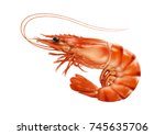 Red cooked prawn or tiger shrimp isolated on white background as package design element