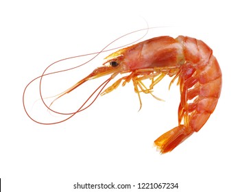 Red Cooked Prawn Or Tiger Shrimp Isolated On White Background