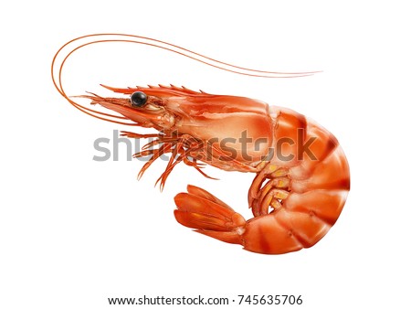 Red cooked prawn or tiger shrimp isolated on white background as package design element Foto d'archivio © 