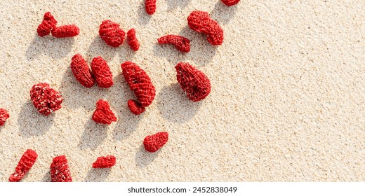 Red Coral Pieces on Sandy Beach. Top view Vivid corals with sun shadows, Minimal nature, sunlight on fine sand on shore ocean. Aesthetic scenery. Summer vacation concept, banner with copy space Stock fotografie
