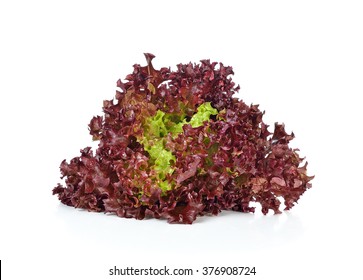red coral salad isolated on the white background .