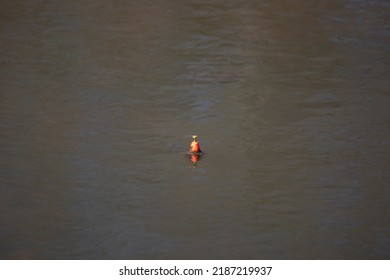 Red Cork Bobber In Muddy And Rippling Water