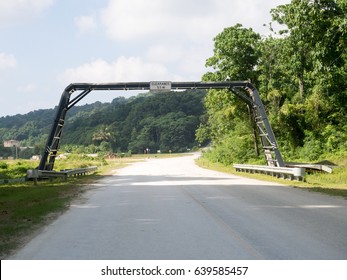 Red Crab Bridge Over A Road, Christmas Island, Indian Ocean Territory Of Australia