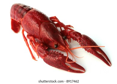Crayfish Isolated Images, Stock Photos & Vectors | Shutterstock