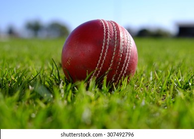 406 Australian cricket team Images, Stock Photos & Vectors | Shutterstock