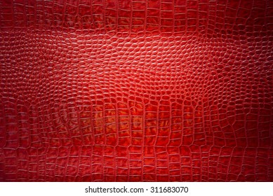 3,748 Red crocodile leather Stock Photos, Images & Photography ...