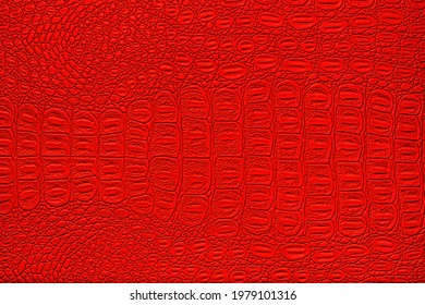 5,677 Red crocodile leather Images, Stock Photos & Vectors | Shutterstock