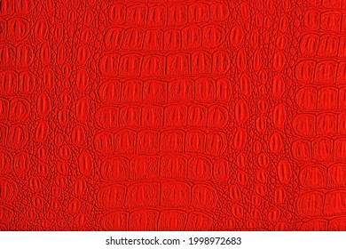 5,677 Red crocodile leather Images, Stock Photos & Vectors | Shutterstock