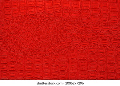 5,677 Red Crocodile Leather Images, Stock Photos & Vectors 