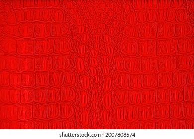 Red Crocodile Leather Texture Abstract Background Stock Photo ...