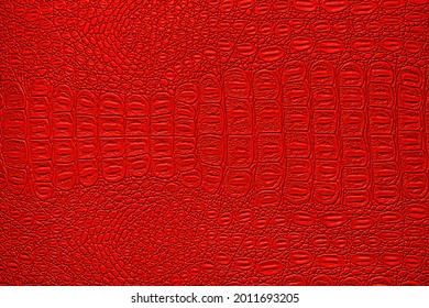 5,677 Red crocodile leather Images, Stock Photos & Vectors | Shutterstock