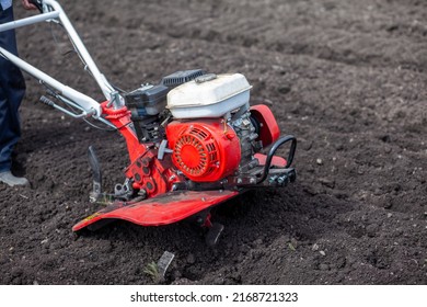 Red cultivator cultivates a vegetable garden for planting vegetables and potatoes. tractor motoblock works in the field at sunset. cultivates the soil. - Shutterstock ID 2168721323