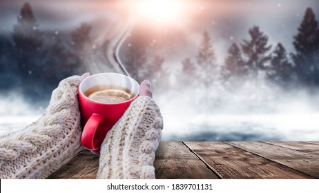 Red cup with coffee, tea in female hands on a snowy background, winter forest. A red cup in hands against the background of a winter forest landscape on soft, knitted sleeves. Coffee, tea on a wooden  - Powered by Shutterstock