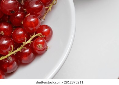 Red currant background texture, red berries close up overlay,  red fruit close up wallpaper