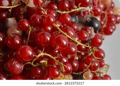 Red currant background texture, red berries close up overlay,  red fruit close up wallpaper