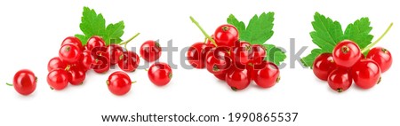 Red currant berries with leaf isolated on white background. Set or collection