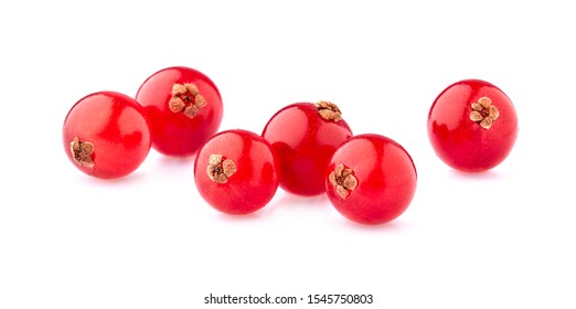 Red Currant Berries On White Background