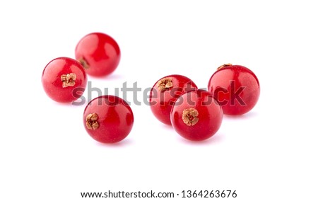 Red currant berries on White Background