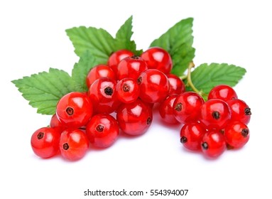 Rote Johannisbeere Images Stock Photos Vectors Shutterstock