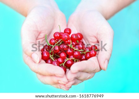 Similar – Foto Bild Kinderhand hällt frische Johannisbeeren