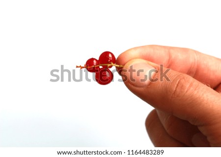Similar – Image, Stock Photo Red Currants Food Fruit