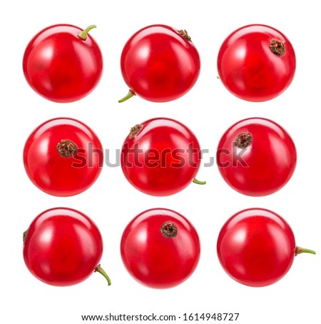 Red currant isolate. Currant red on white background. Currant with clipping path. Top view. Side view. Set with full depth of field.