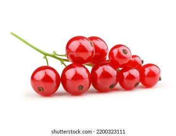 Red currant isolated on a white background - Shutterstock ID 2200323111