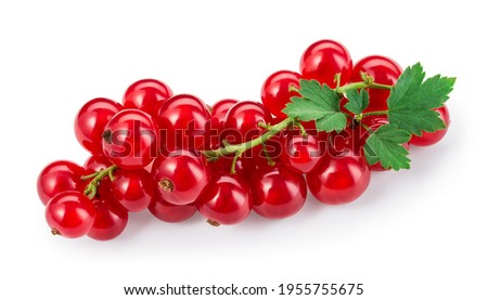 Red currant isolated. Currant red on white background. Currants on branch. with leaves. Top view. Clipping path.