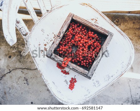 Similar – Image, Stock Photo Bowl full of ripe cherries in the sunlight