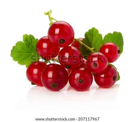red currents isolated on the white background