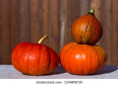 Red Curry Squash Freshly Harvested From The Garden. Two Different Types, Very Nice In Soups.