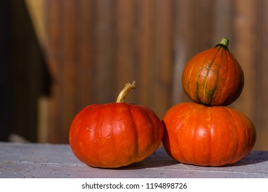 Red Curry Squash Freshly Harvested From The Garden. Two Different Types, Very Nice In Soups.