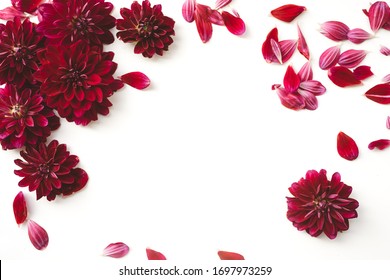 Red dahlia flowers with scattered petals, crimson floral border with blossom frame on white background