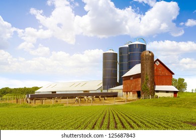 Red Dairy Farm With Sunny Sky