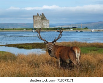 Arran Hd Stock Images Shutterstock